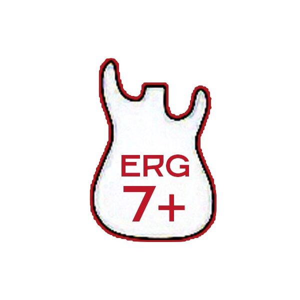 ERG -Modelle