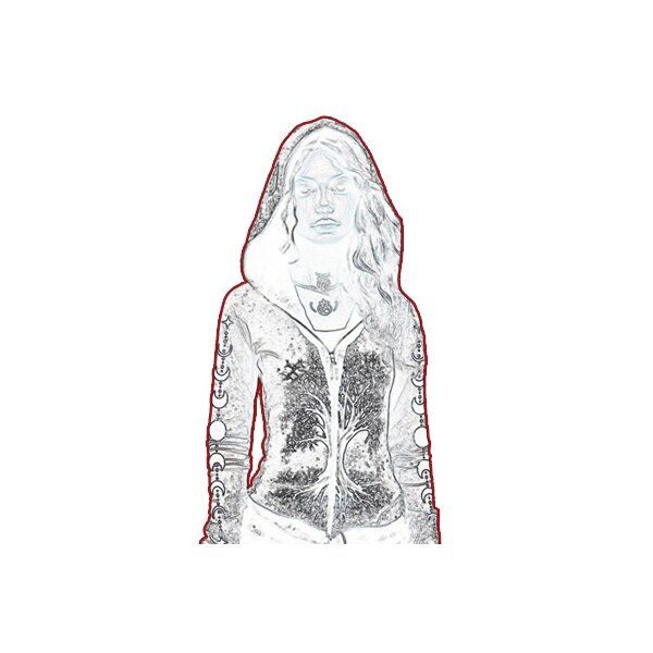 Pullover/Hoodie