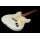 Jet Guitars JS-300 OW Olympic White