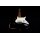 Jet Guitars JS 800 BK Black Relic