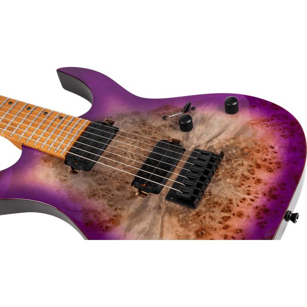SPIRA Guitars S 457 TPP Transparent Purple
